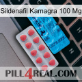 Sildenafil Kamagra 100Mg new14